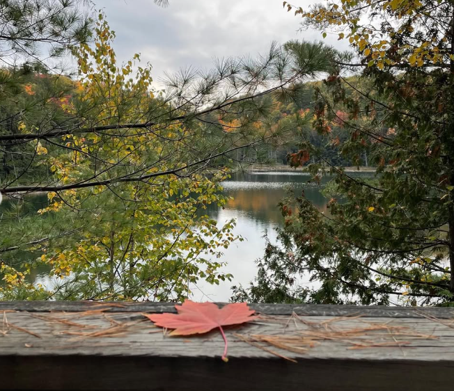 Lake